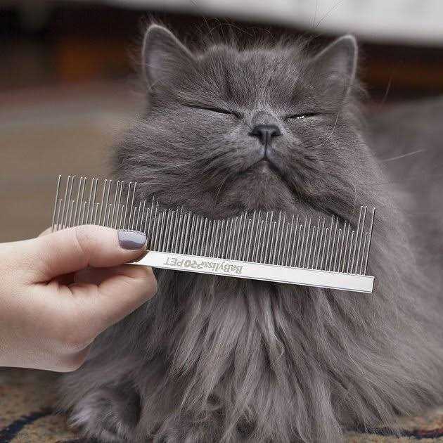 Pet Carding Cat/Dog Comb L8932