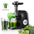 Slow Masticating Juicer Extractor G9188